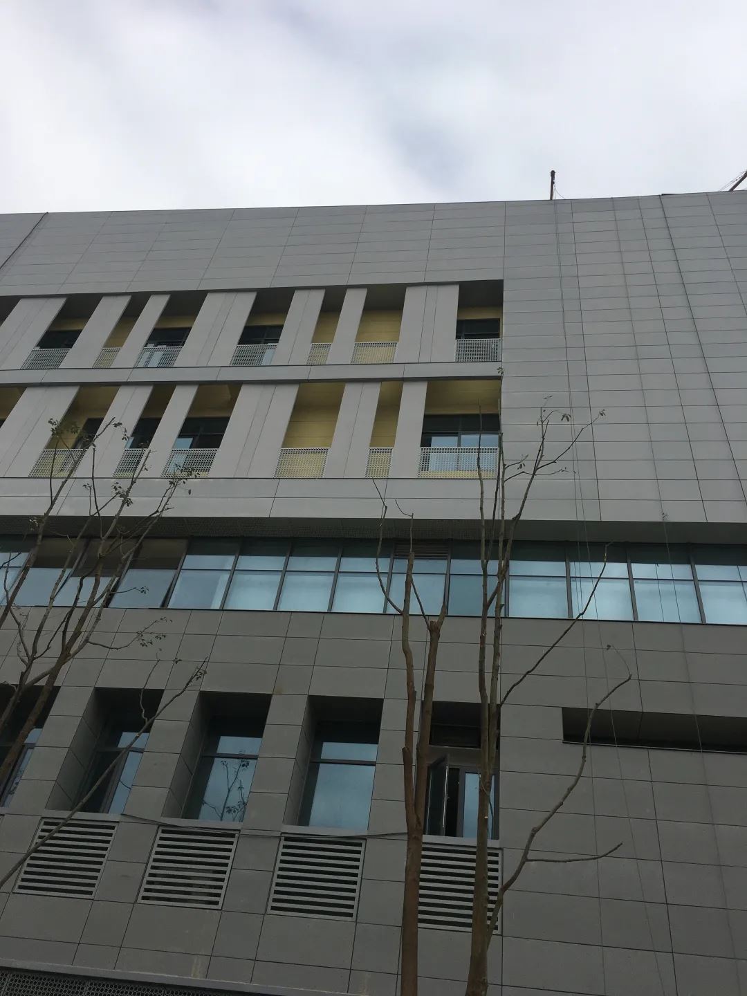 香港澳六宝典资料大全