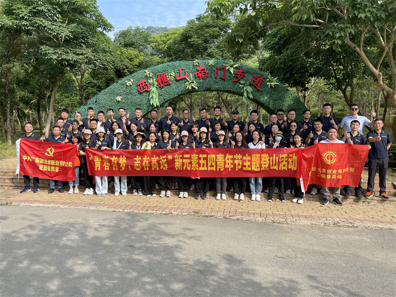 香港澳六宝典资料大全