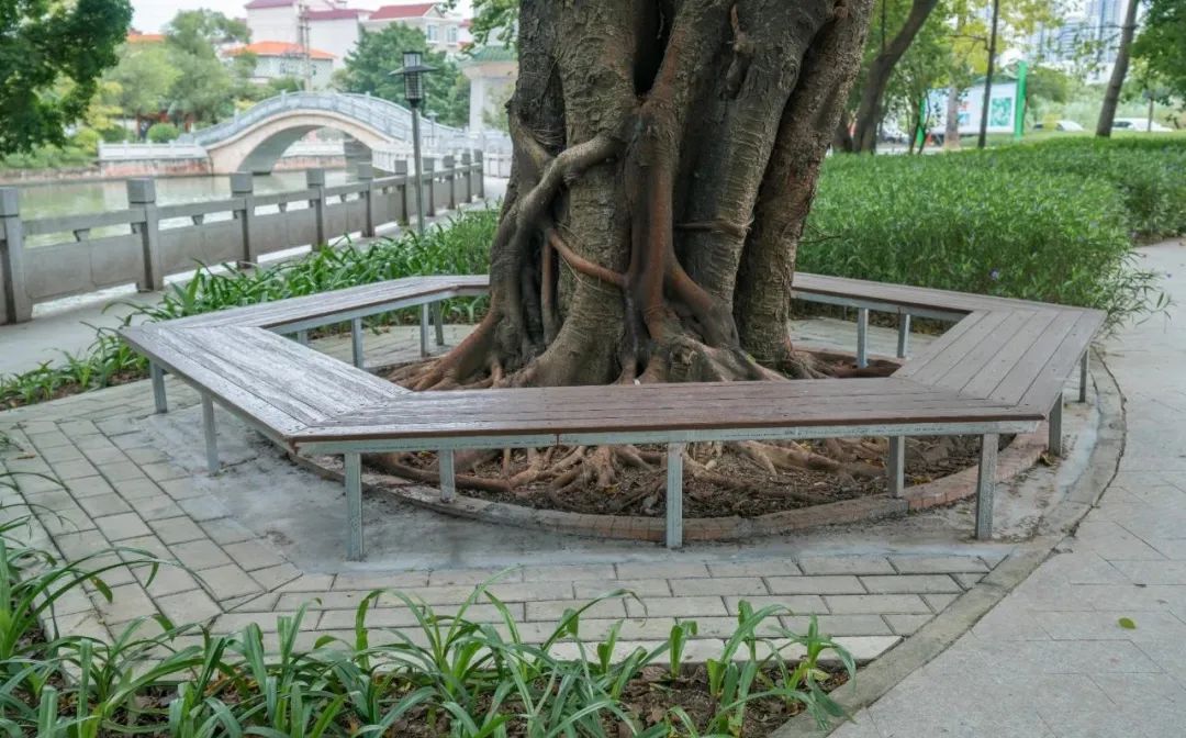 香港澳六宝典资料大全