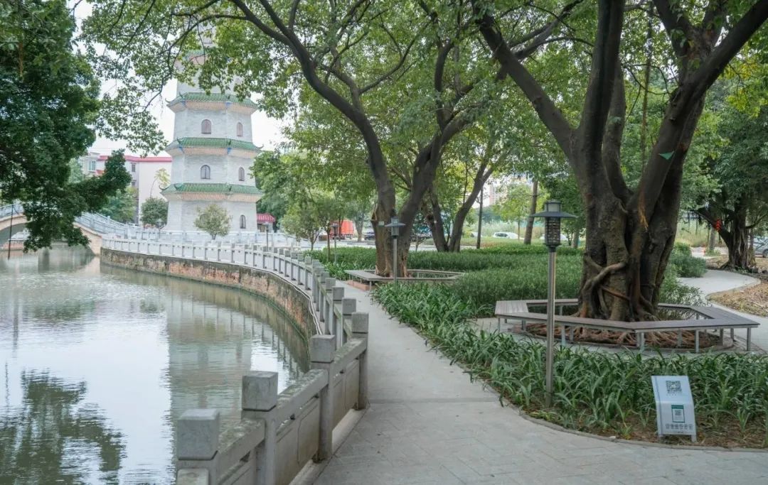 香港澳六宝典资料大全
