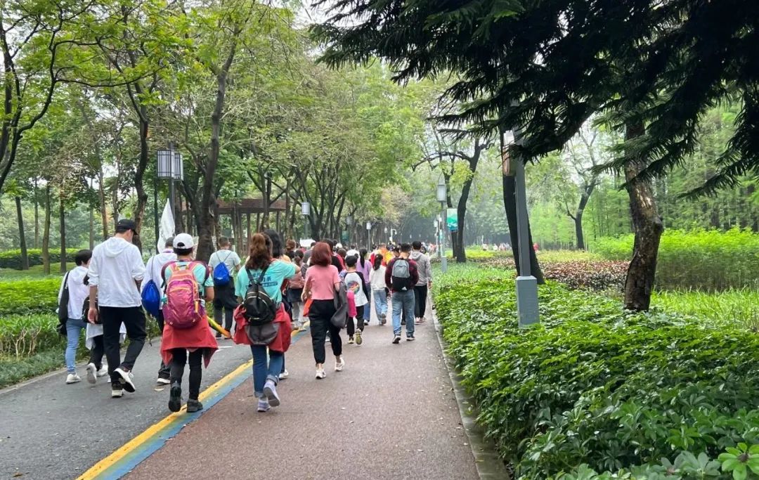 香港澳六宝典资料大全