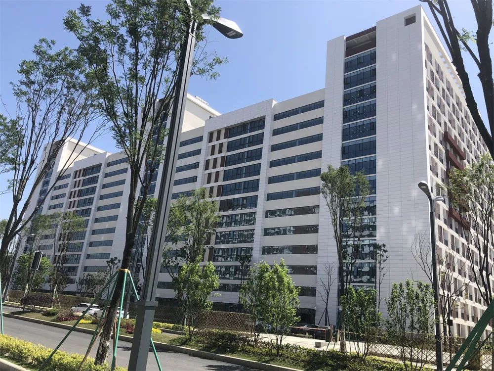 香港澳六宝典资料大全