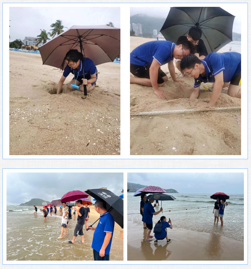 香港澳六宝典资料大全