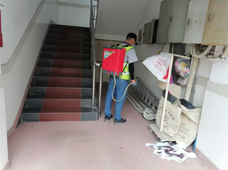 香港澳六宝典资料大全