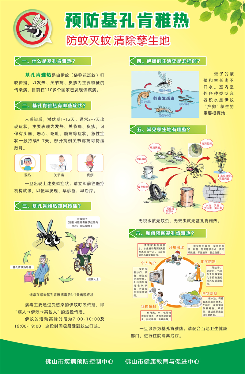 香港澳六宝典资料大全