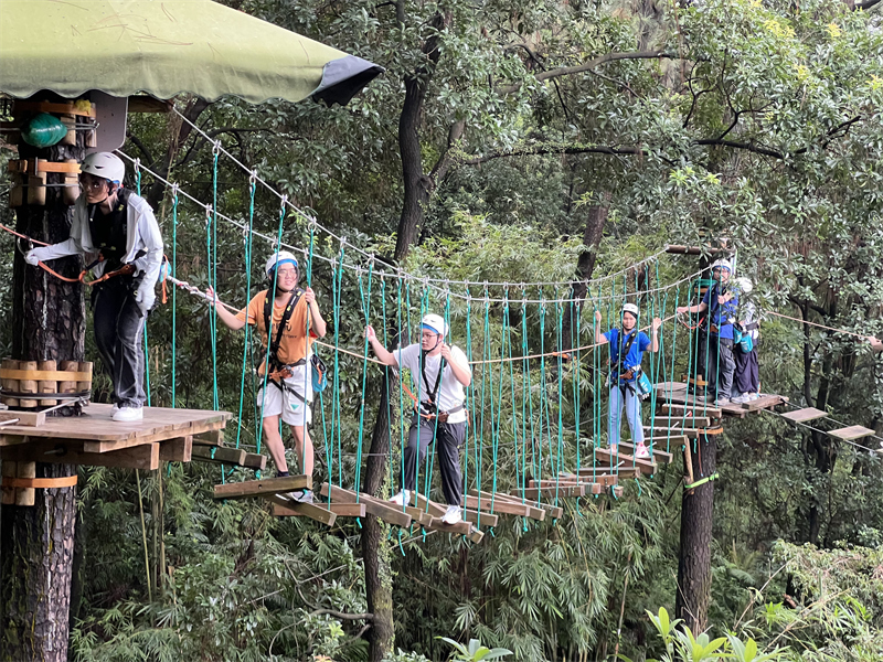 香港澳六宝典资料大全