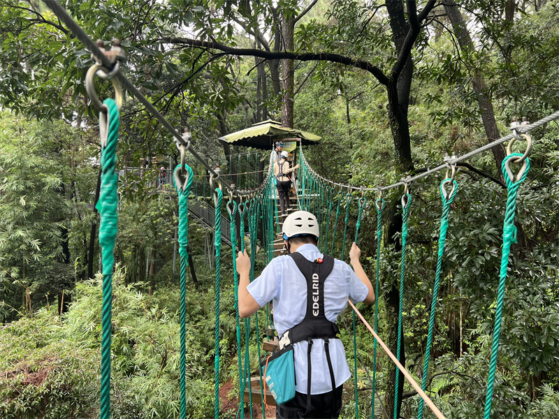 香港澳六宝典资料大全